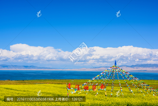 青海湖風光