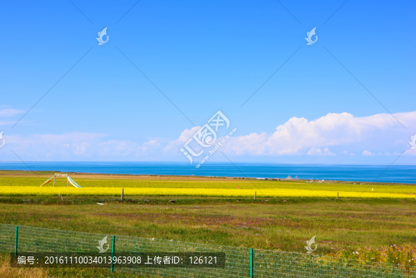 青海湖風(fēng)光