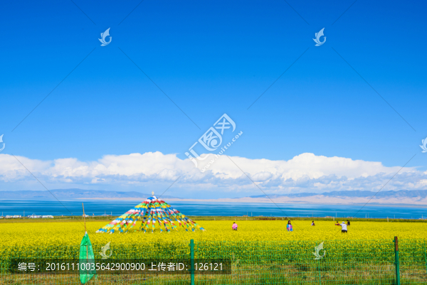 青海湖風(fēng)光