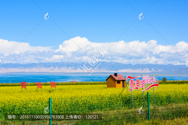 青海湖風(fēng)光