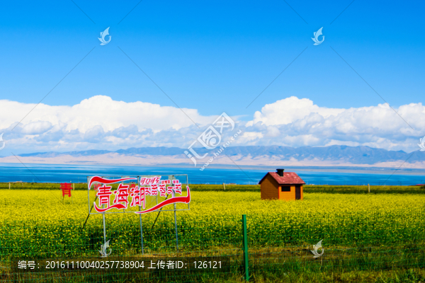 青海湖風(fēng)光