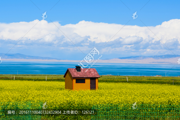 青海湖風(fēng)光