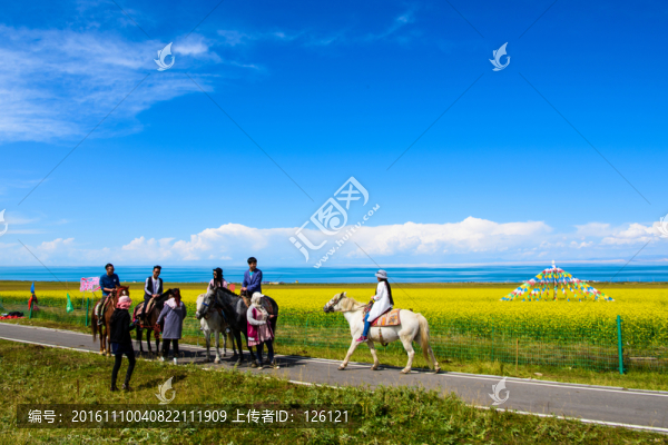 青海湖風(fēng)光