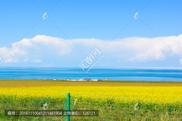 青海湖風(fēng)光