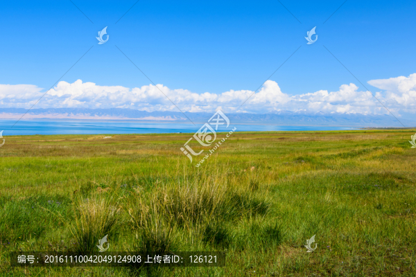 青海湖風(fēng)光