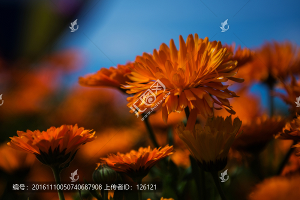 青海湖風(fēng)光