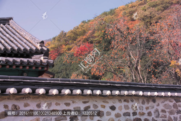 韓國寺