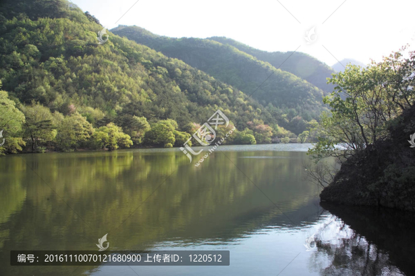 自然觀(guān)