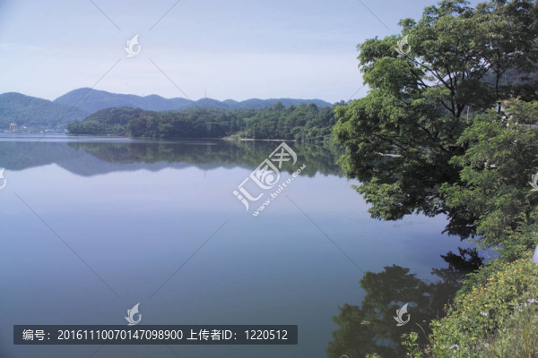 自然觀