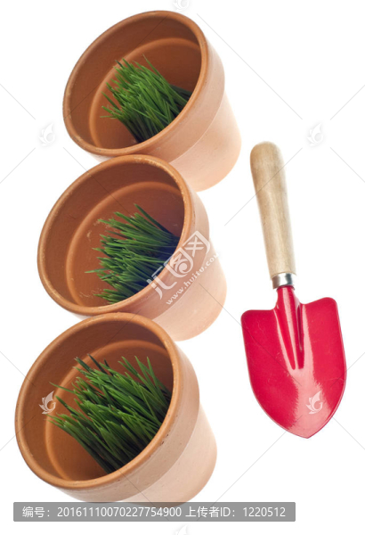 粘土罐里的青草