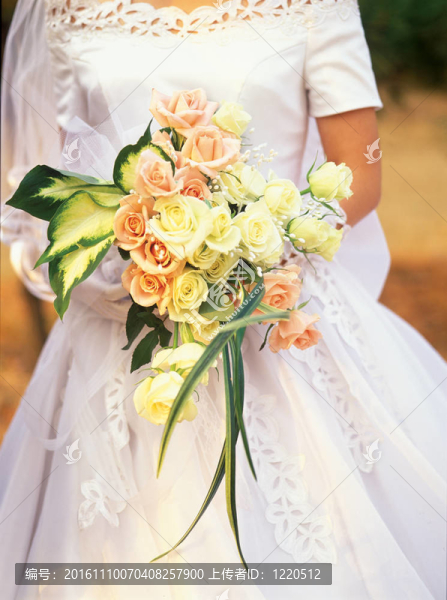 結(jié)婚的女人