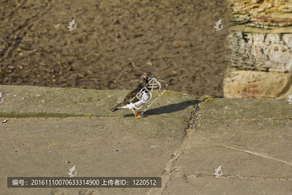 一個靜止的時刻