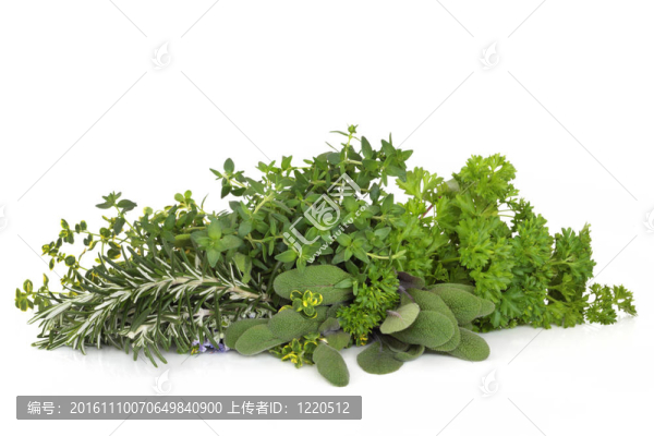 歐芹、鼠尾草、迷迭香和百里香