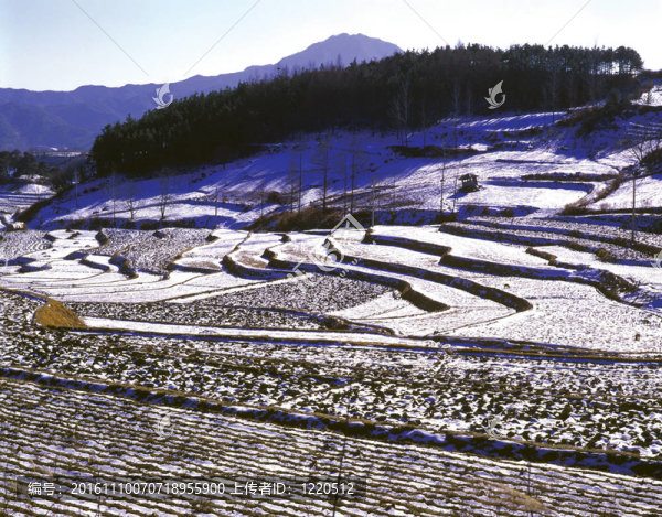 季節(jié)性