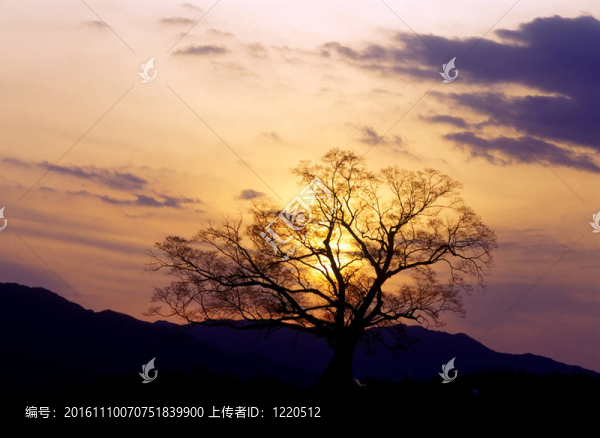 季節(jié)性