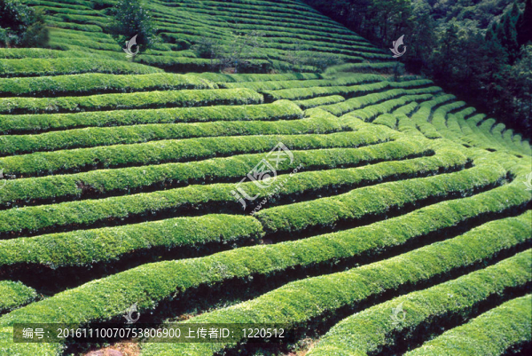 季節(jié)性-匯圖網(wǎng) www.fosd68.com 季節(jié)性