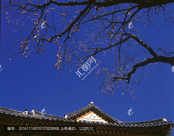 景觀