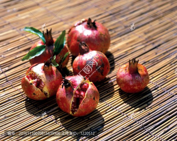 自然的細(xì)節(jié)