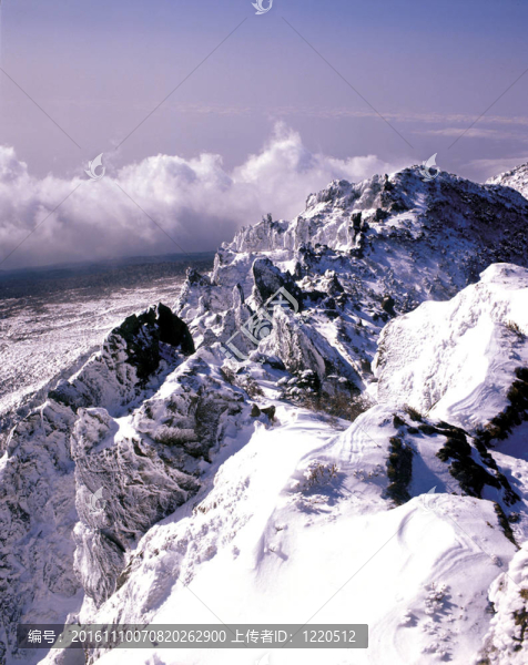 冬季景觀