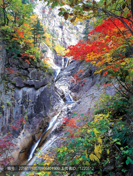 季節(jié)性