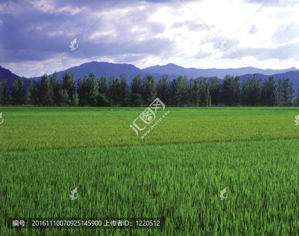 場(chǎng)景觀