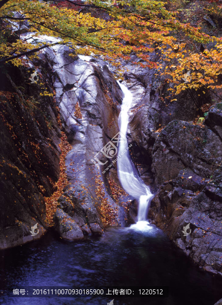 季節(jié)性-匯圖網(wǎng) www.fosd68.com 季節(jié)性