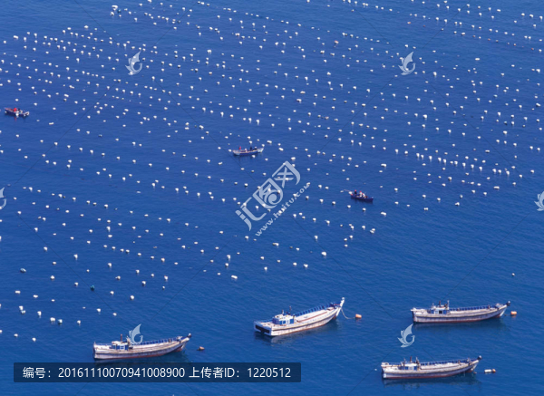 看海