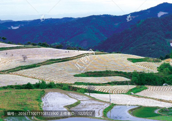 季節(jié)性