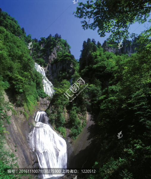 季節(jié)性