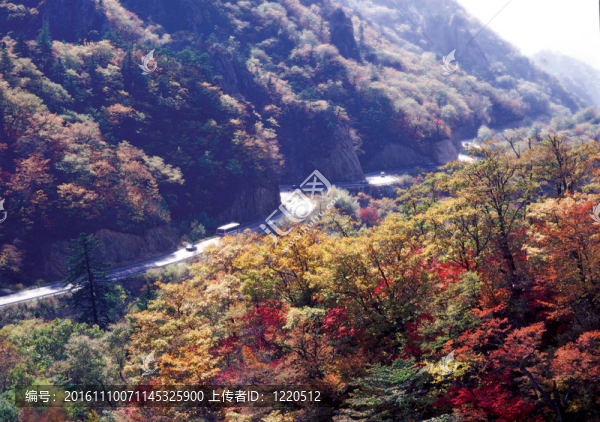 季節(jié)性