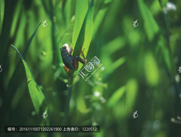 季節(jié)性