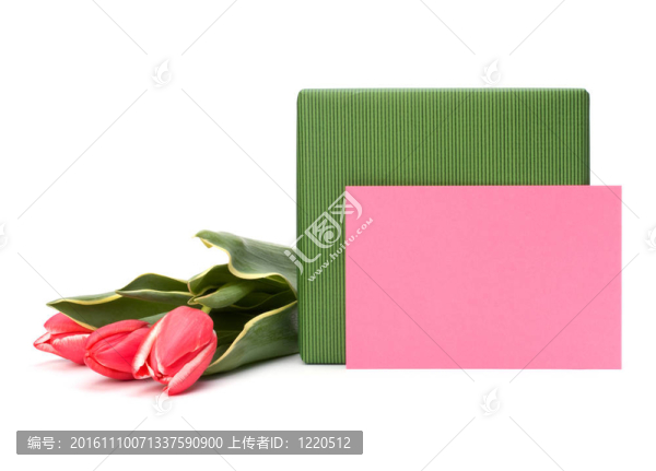 白色背景的粉紅色郁金香禮品