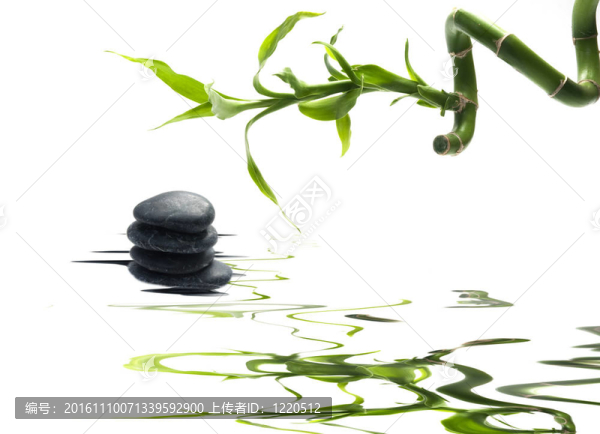 水上的竹子和石頭的樹(shù)枝