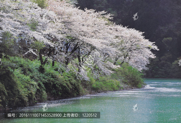 自然觀