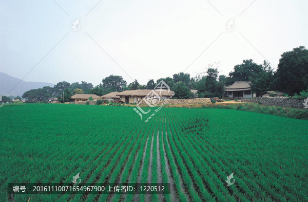 韓國的傳統(tǒng)