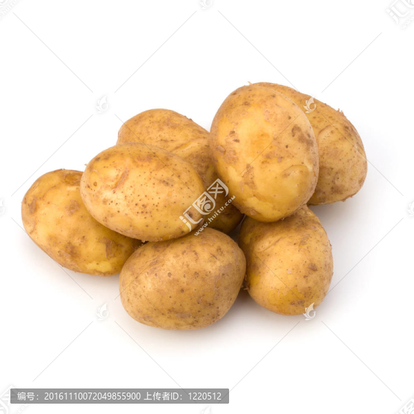 土豆