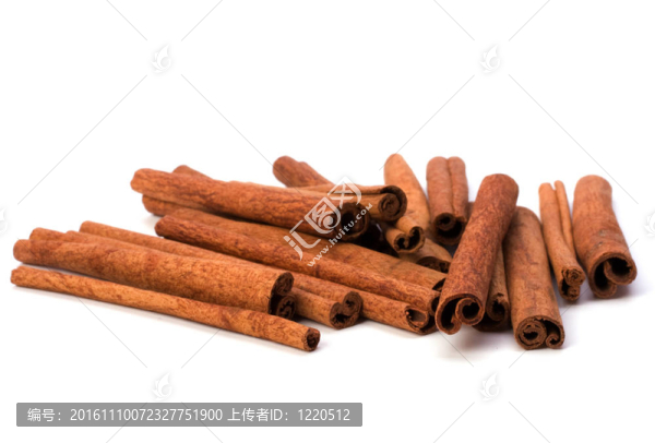 白色背景上的肉桂枝