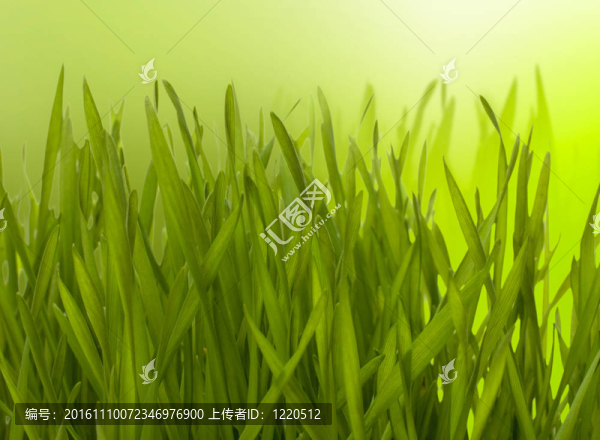 美麗的自然背景