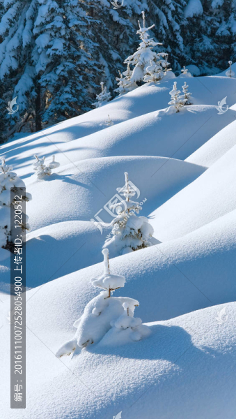 冬天的白雪覆蓋的山坡上的積雪