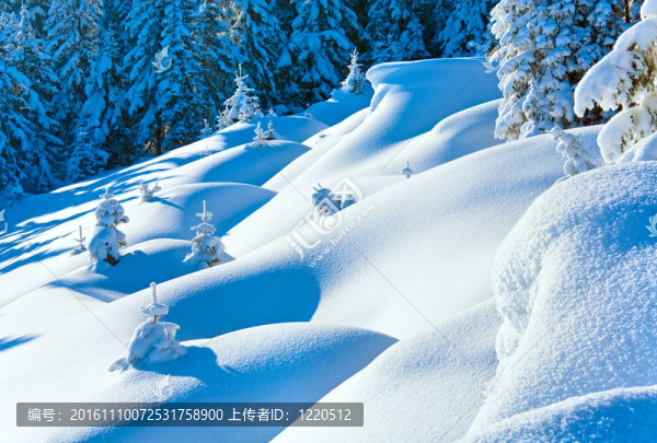 冬天的白雪覆蓋的山坡上的積雪