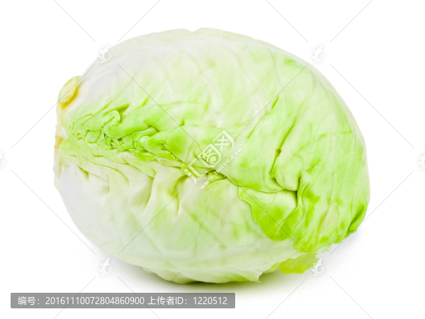 白菜