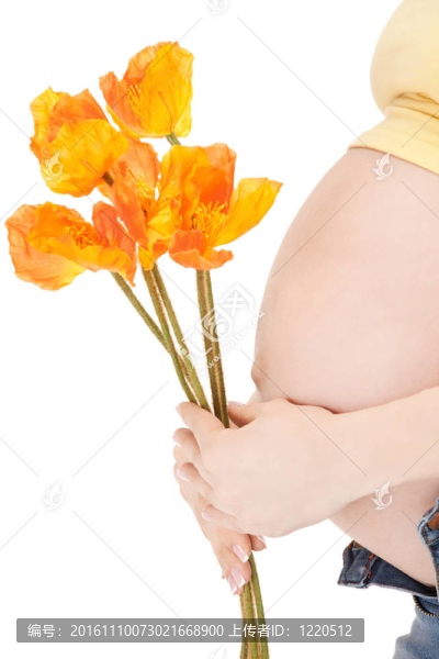 孕婦的肚子