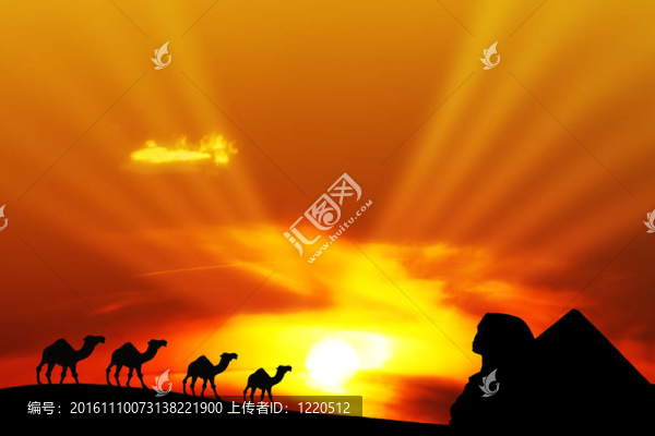 該公司與駱駝和沙漠景觀