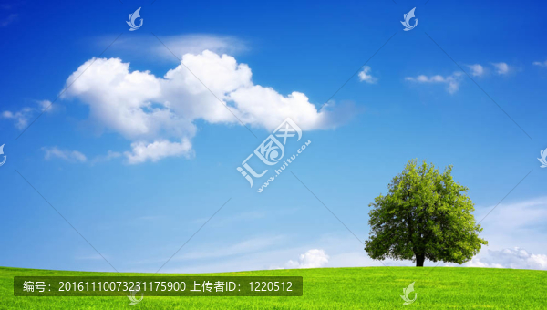 環(huán)境