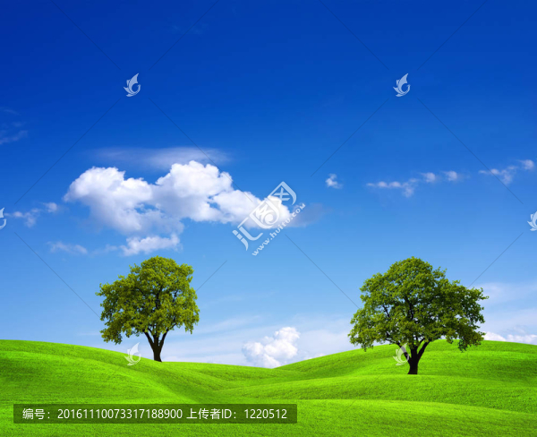 綠地和樹木
