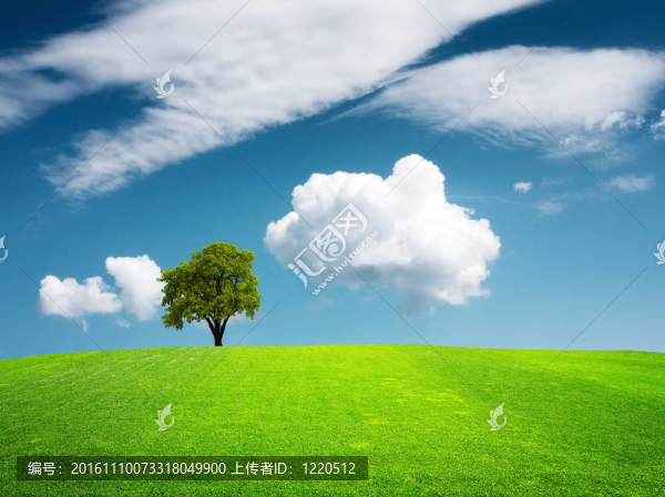 Green,Hill景觀