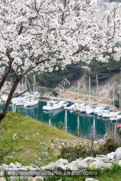黑醋栗的卡蘭奎斯附近風(fēng)景
