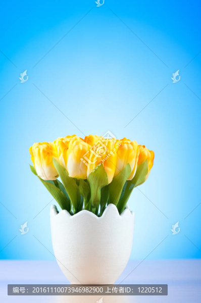 五顏六色的郁金香花在白壺里