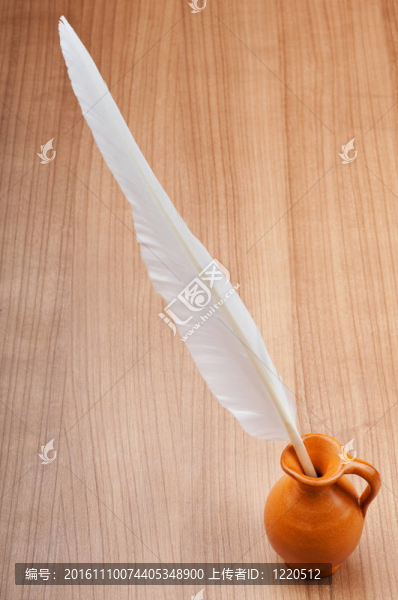 梯度背景羽毛