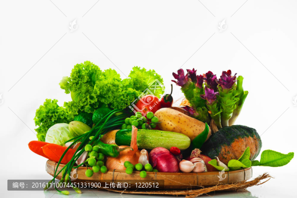蔬菜-卷心菜；番茄；黃瓜；洋蔥；生菜等